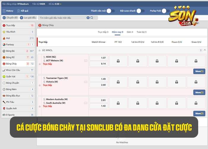 Các cược bóng chày tại Sonclub có đá dạng cửa đặt cược Các cược bóng chày tại Sonclub có đá dạng cửa đặt cược
