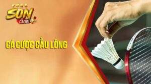 Giới thiệu cá cược cầu lông tại Sonclub