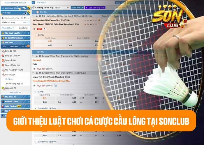 Giới thiệu luật chơi cá cược cầu lông tại Sonclub Giới thiệu luật chơi cá cược cầu lông tại Sonclub